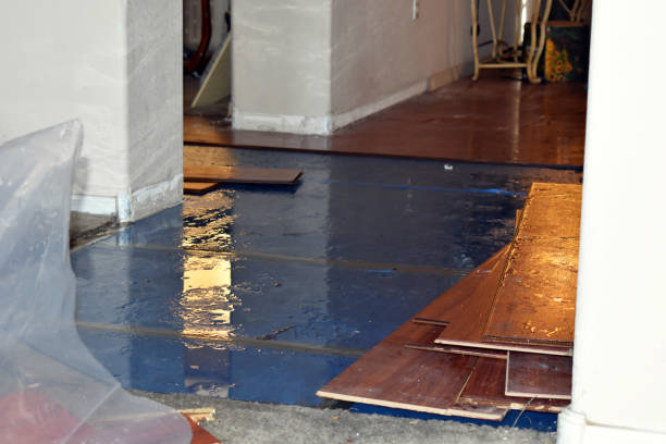 Professional Water Damage Restoration technician working in Laurelville, OH